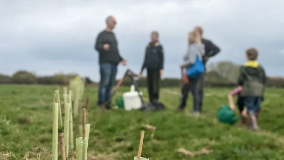 8556d37b-0c02-4d67-8c31-d632d69f37d6