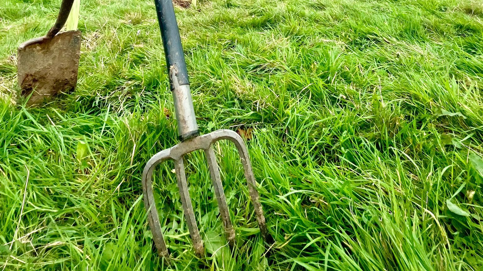 PHOTO-2024-11-10-14-36-03