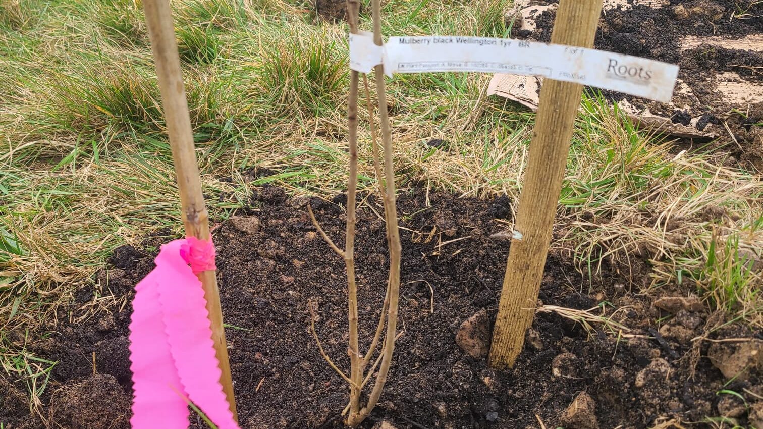 PHOTO-2025-02-15-20-43-48