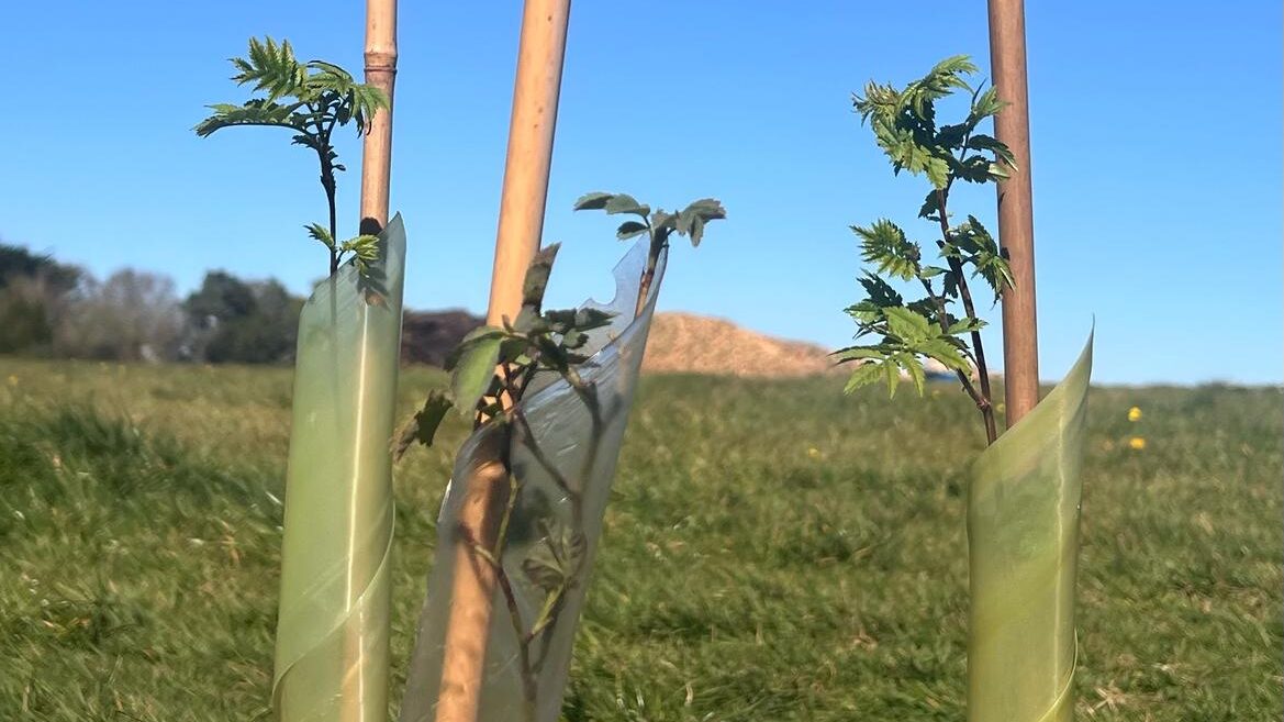 PHOTO-2025-04-05-16-39-14 2