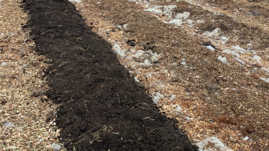 PHOTO-2025-04-18-15-06-18 2