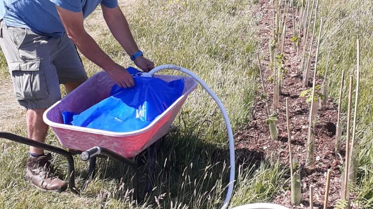 PHOTO-2025-05-10-17-17-26 2